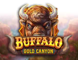 Buffalo Gold Canyon Buffalo Gold Canyon