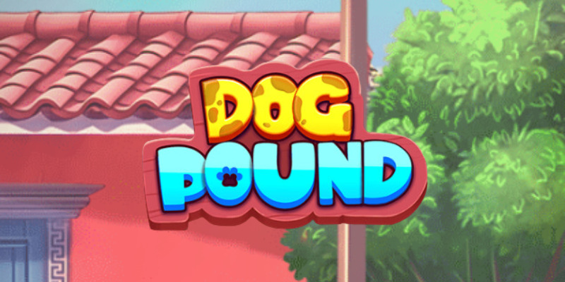 Dog Pound Dog Pound